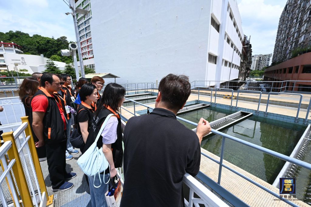 20250812113646.jpg 6.jpg